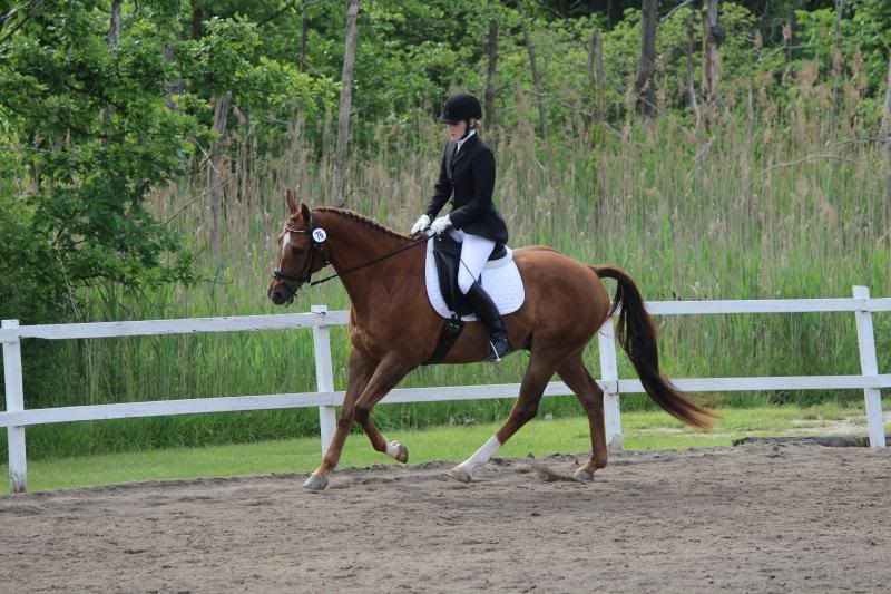 photo IMG_2295.jpg