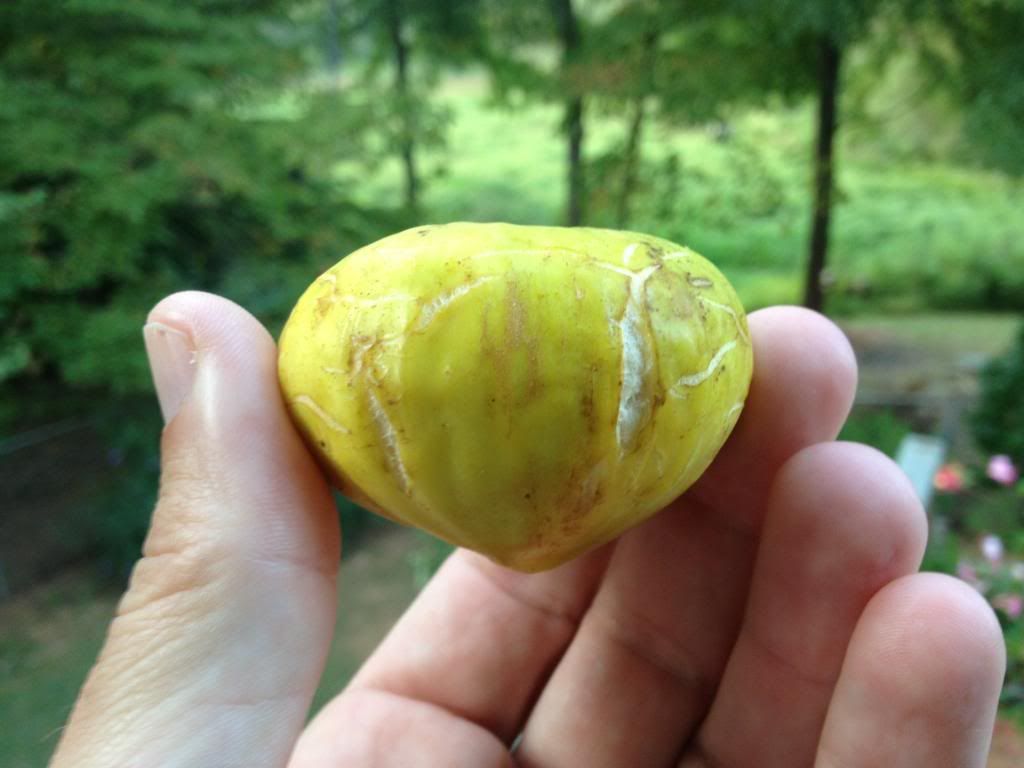 [IMG_0403_zpsce536504]