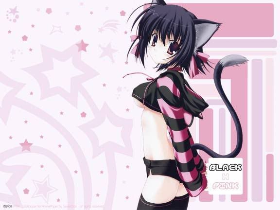 http://i138.photobucket.com/albums/q256/ptgirl96/Anime/Neko-Girl-Black--Pink.jpg