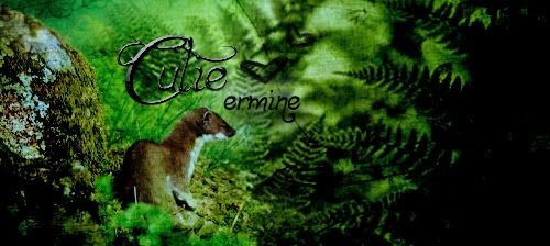 ermine.jpg