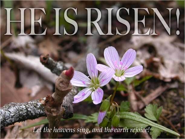 TOUCHING HEARTS: HE IS RISEN ! BLESSED EASTER