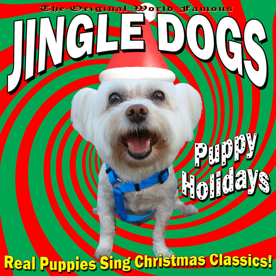 IMWAN • They're Baaack. New Jingle Cats DVD, Jingle Dogs CD