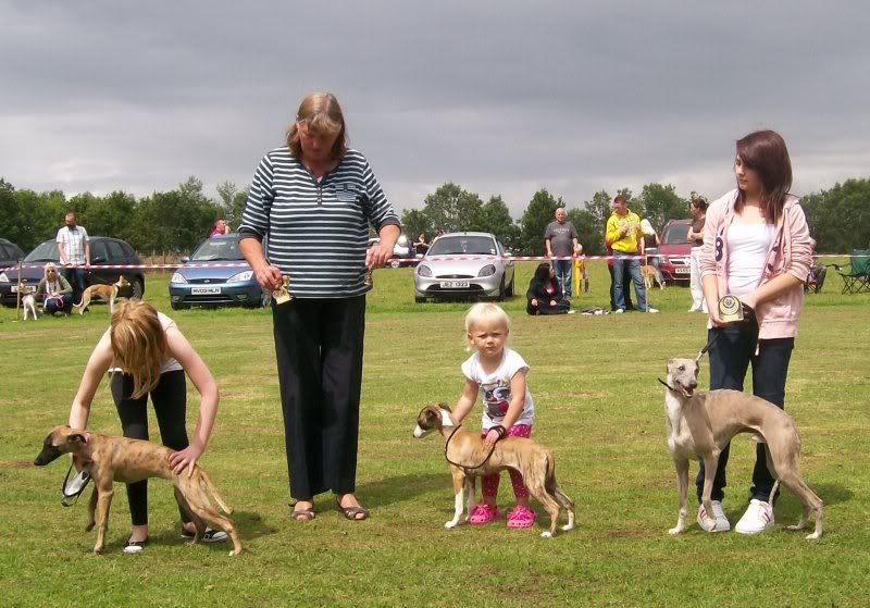 SPORTINGWHIPPETSHOW10THJULY2011012.jpg