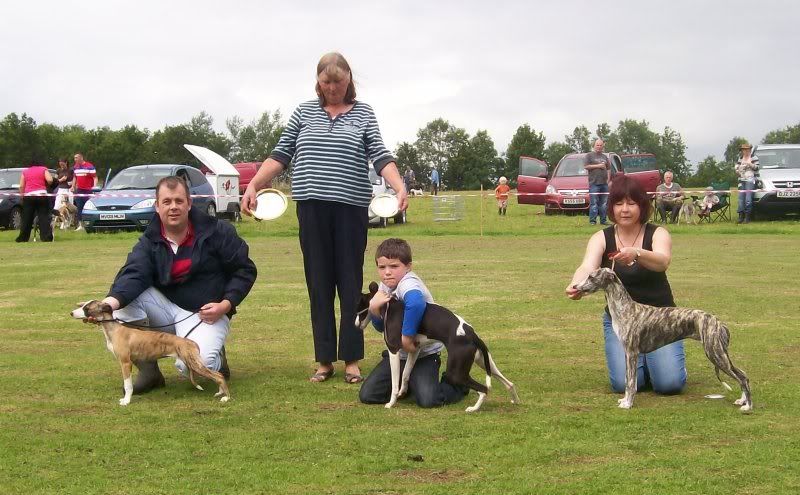 SPORTINGWHIPPETSHOW10THJULY2011016.jpg