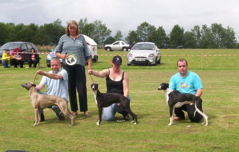 SPORTINGWHIPPETSHOW10THJULY2011039.jpg