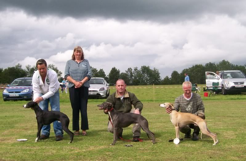 SPORTINGWHIPPETSHOW10THJULY2011045.jpg