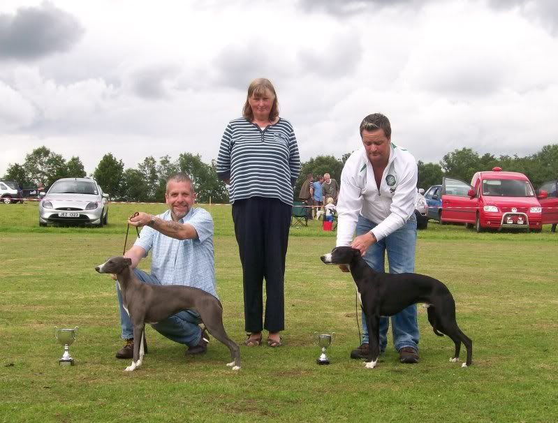 SPORTINGWHIPPETSHOW10THJULY2011049.jpg