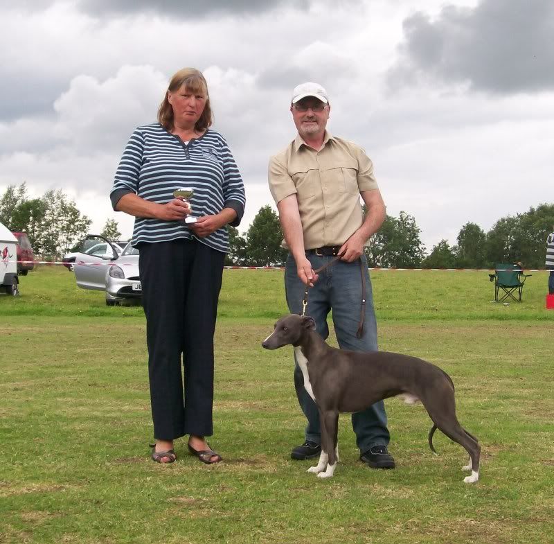 SPORTINGWHIPPETSHOW10THJULY2011050.jpg