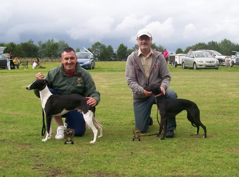 SPORTINGWHIPPETSHOW10THJULY2011053.jpg