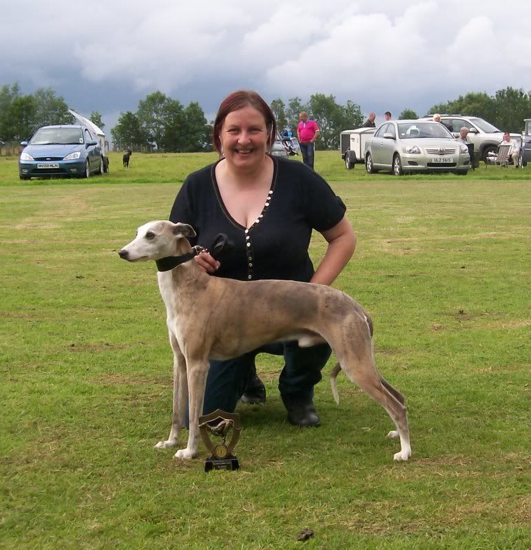 SPORTINGWHIPPETSHOW10THJULY2011056.jpg