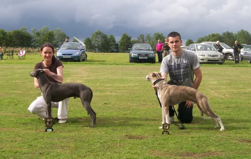 SPORTINGWHIPPETSHOW10THJULY2011059.jpg