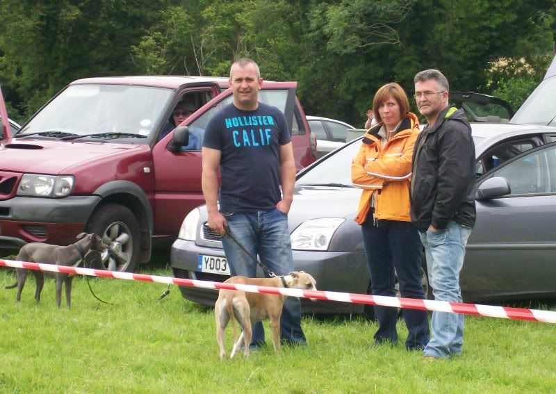 sportingwhippetclub24thJuly2010024.jpg