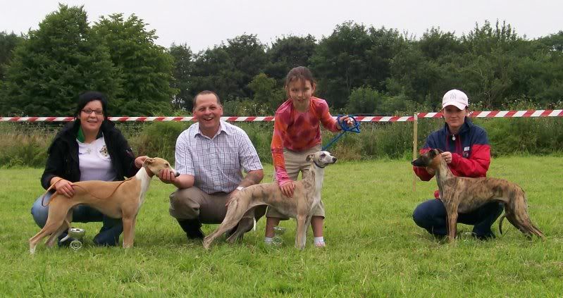 sportingwhippetclub24thJuly2010032.jpg