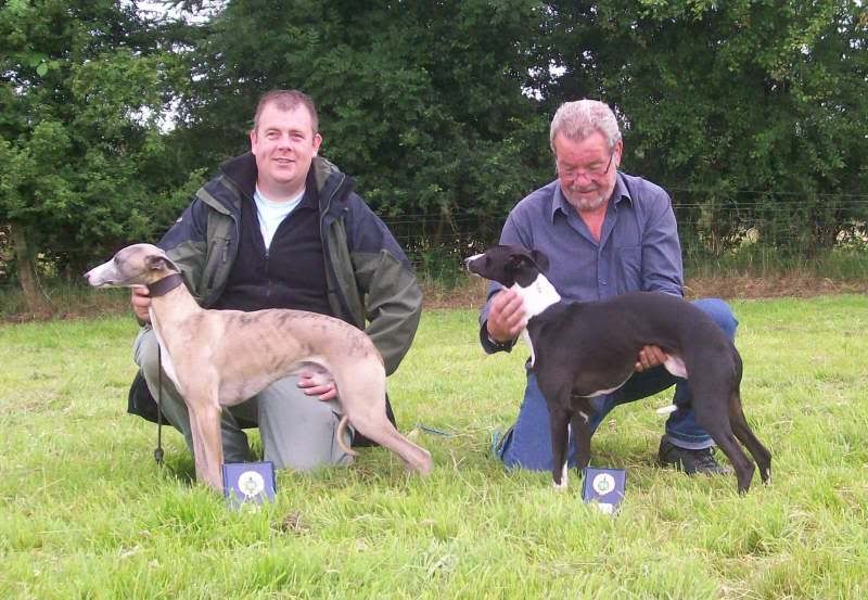 sportingwhippetclub24thJuly2010097.jpg