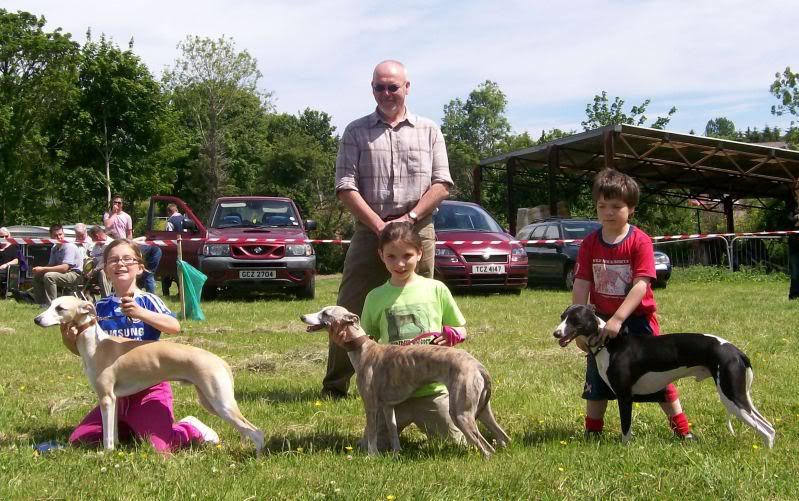 SportingWhippetClubJune2010001.jpg