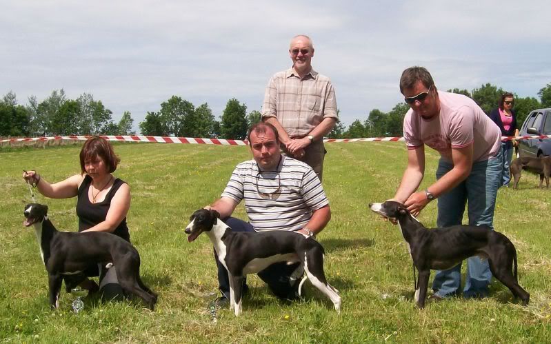 SportingWhippetClubJune2010019.jpg