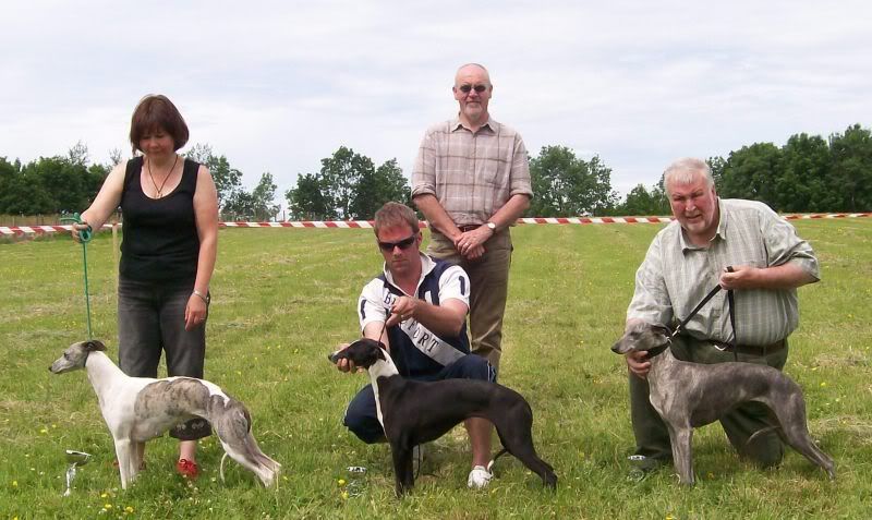 SportingWhippetClubJune2010023.jpg