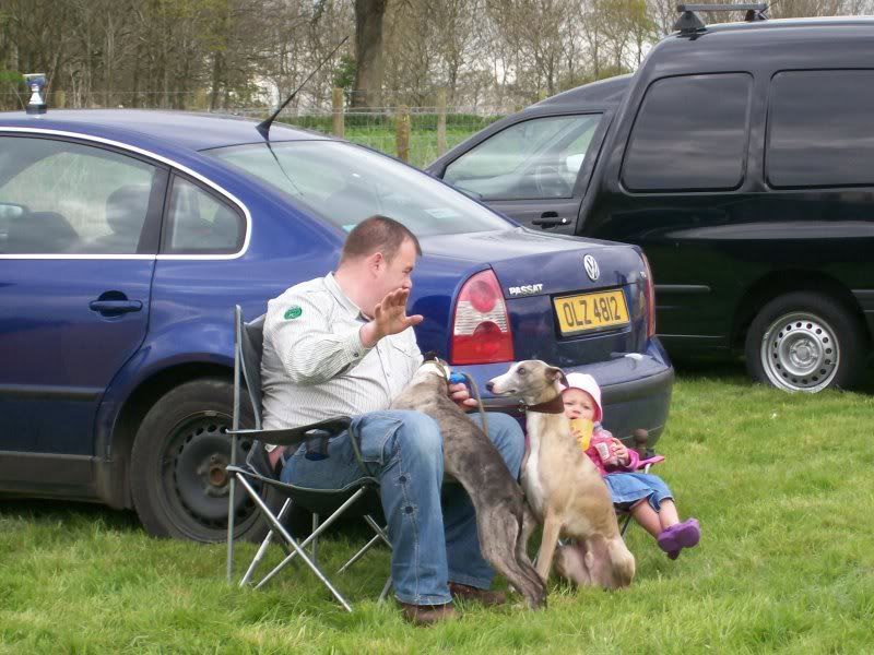 SportingWhippetClubMay2010013.jpg