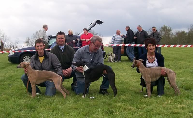 SportingWhippetClubMay2010022.jpg