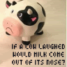 laughingcow.gif