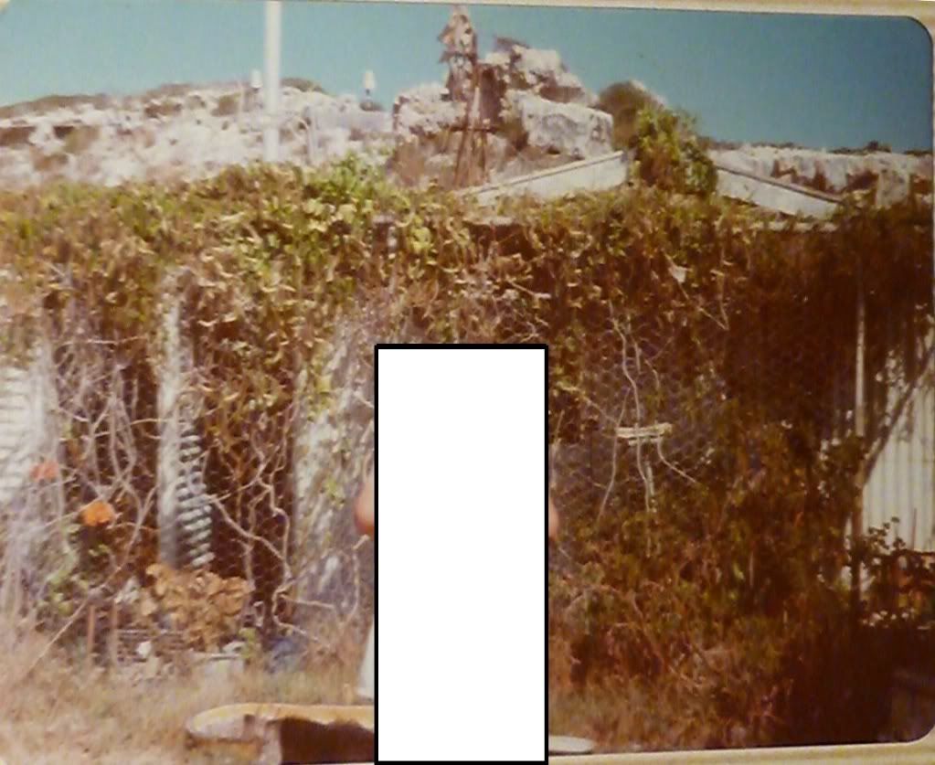 Knobby Head Crown Land and Squatters Shacks