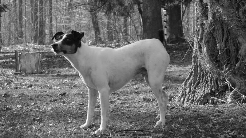 IMAGE: http://i138.photobucket.com/albums/q260/drandtus/IMG_2162.jpg