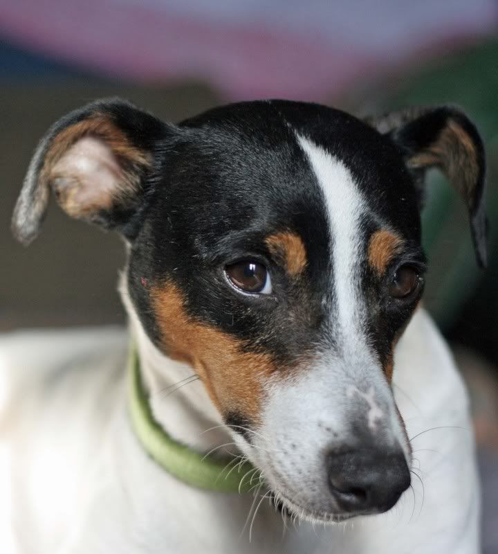 IMAGE: http://i138.photobucket.com/albums/q260/drandtus/marvin1.jpg