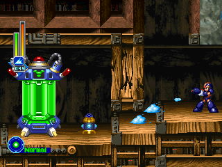 04_capsule.png