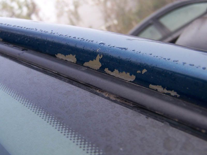 Hood Paint Peeling!!! Nissan Frontier Forum