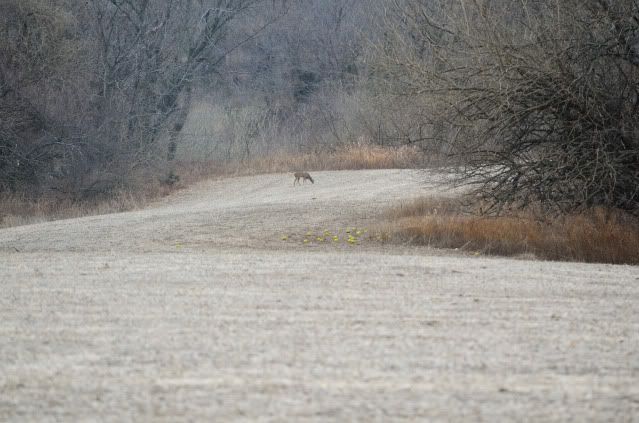 DSC_6656.jpg