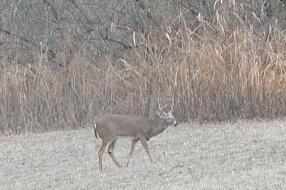 DSC_6659.jpg