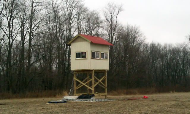 IMAG0068-1.jpg