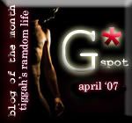 The G* Spot Weblog Award Official Winner