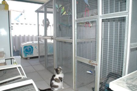 zaviary.jpg