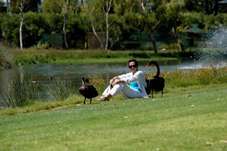 zburswoodpark136a.jpg