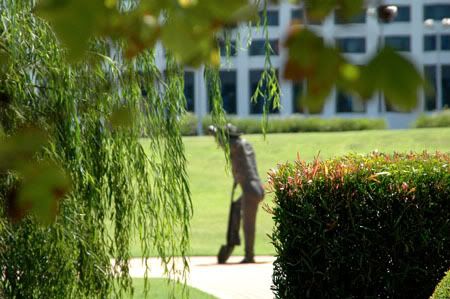 zburswoodpark206a.jpg