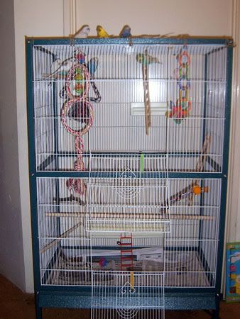 znewcage006a.jpg