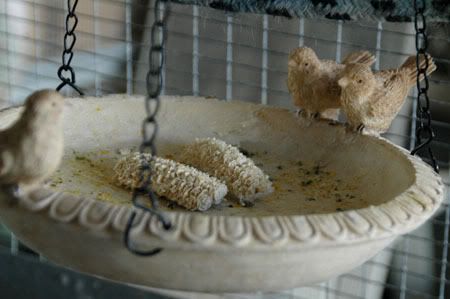Feastfitforabird10.jpg