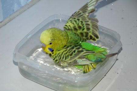 z24MarKazumiBathTime048.jpg