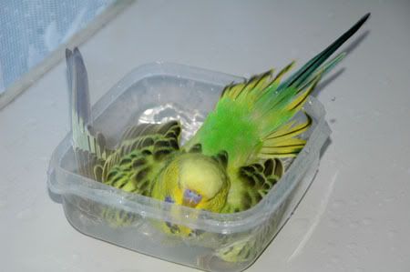 z24MarKazumiBathTime051.jpg