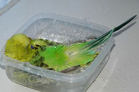 z24MarKazumiBathTime054.jpg
