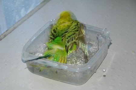 z24MarKazumiBathTime066.jpg