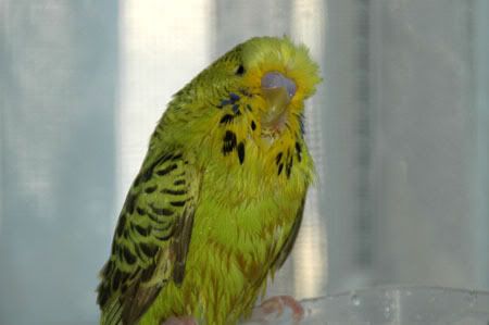 z24MarKazumiBathTime202.jpg
