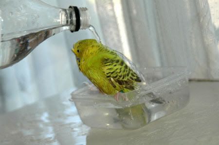 z24MarKazumiBathTime213.jpg