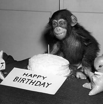 Happy-Birthday-Chimp-Note-Card-C117.jpg