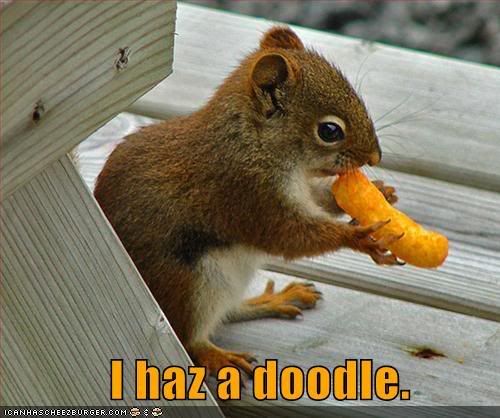 funny-pictures-squirrel-cheese-dood.jpg