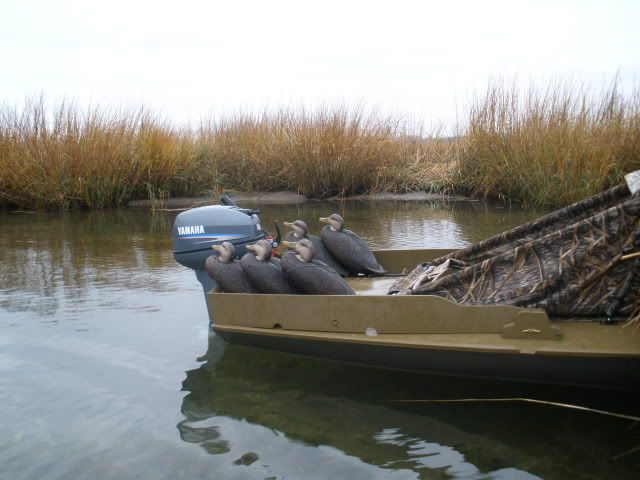 ll bean duck boats