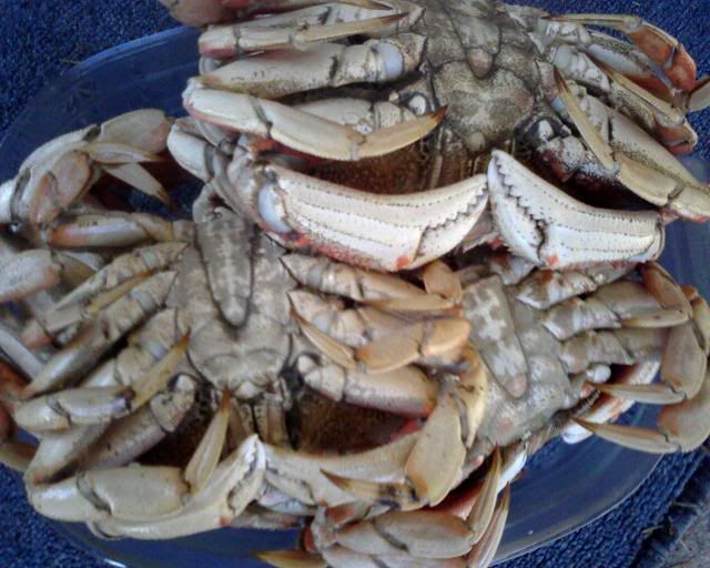 gotcrab.jpg