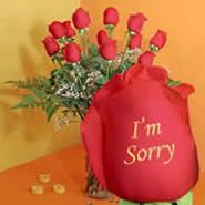 ImSorry.jpg