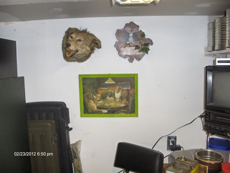 Posted Image